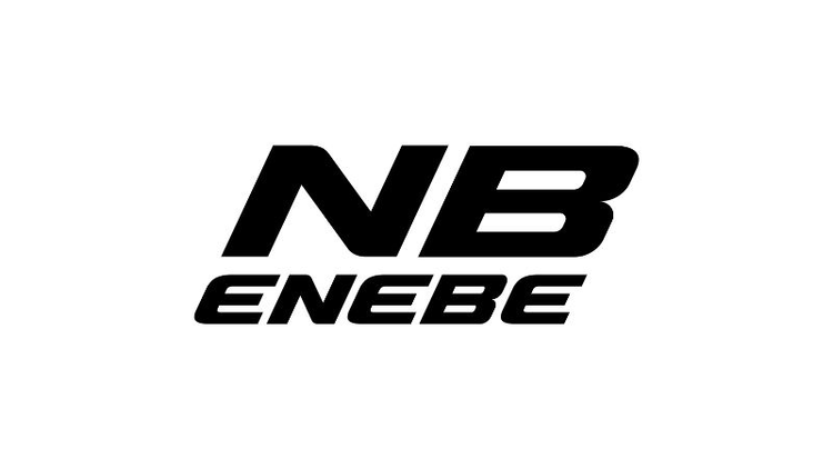 Enebe logo