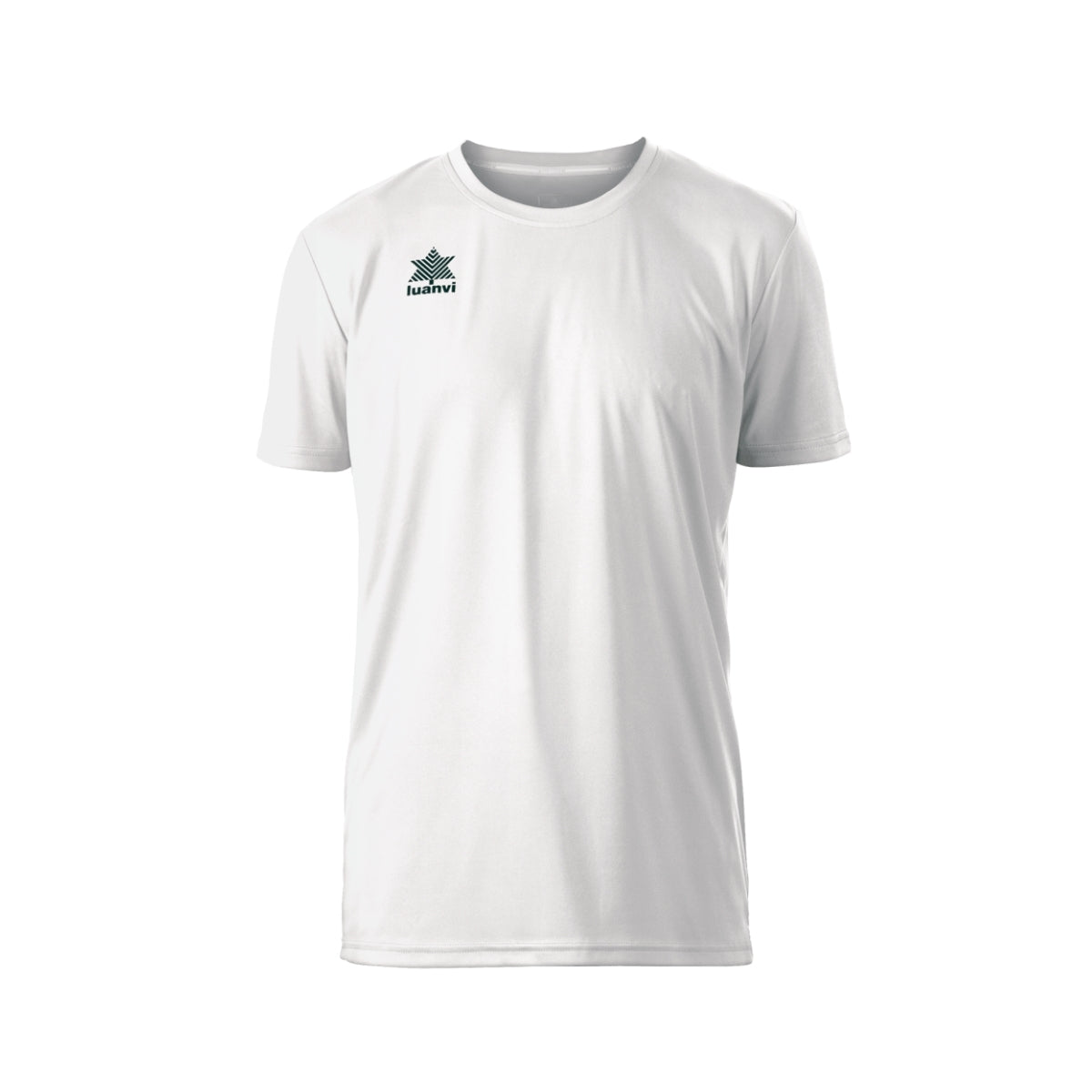 Camiseta Luanvi Pol colores fríos
