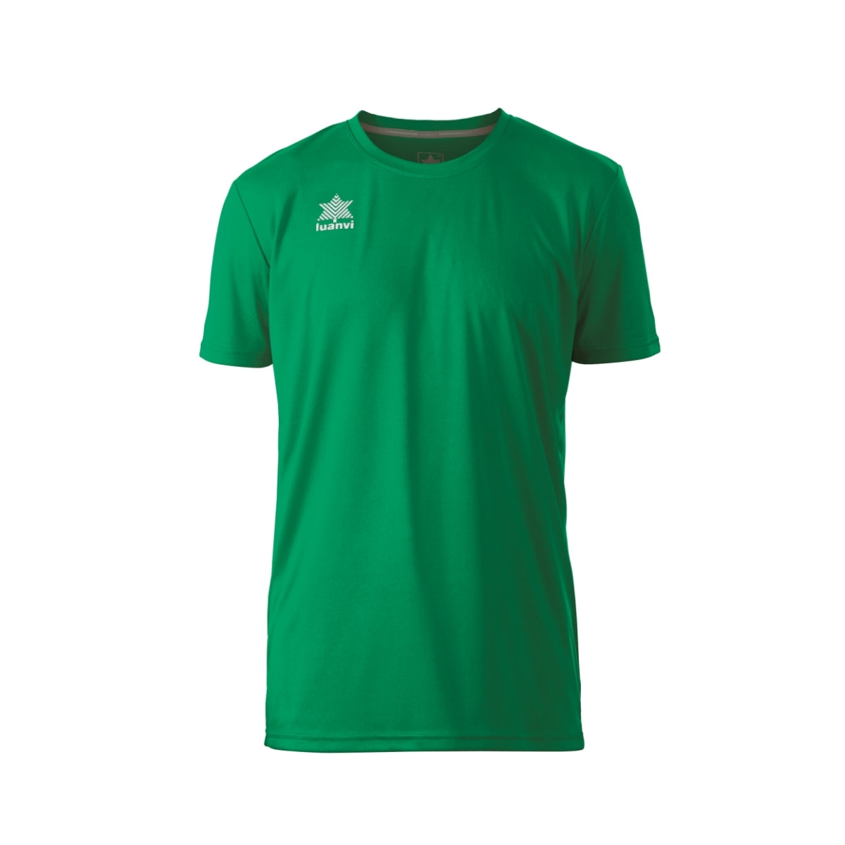 Camiseta Luanvi Pol colores fríos
