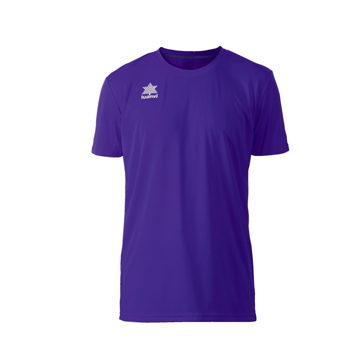 Camiseta Luanvi Pol colores fríos
