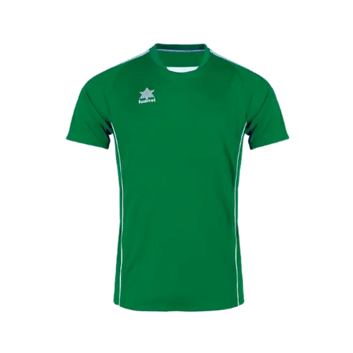 Camiseta Luanvi Premium